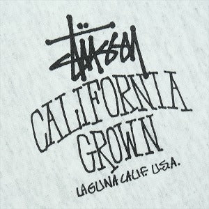 STUSSY ステューシー 25FW CALI GROWN ZIP HOOD ASH HEATHER ジップパーカー 灰 Size 【M】 【新古品・未使用品】 20824723
