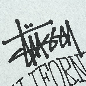 STUSSY ステューシー 25FW CALI GROWN ZIP HOOD ASH HEATHER ジップパーカー 灰 Size 【M】 【新古品・未使用品】 20824723