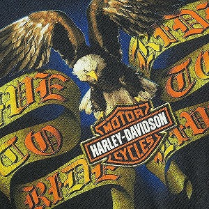 VINTAGE ヴィンテージ Harley-Davidson ハーレーダビッドソン Eagle Bradenton,Frorida Tee Tシャツ 黒 Size 【XXL】 【中古品-良い】 20824898