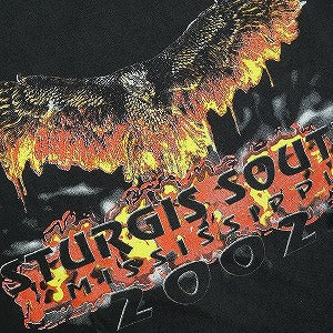 VINTAGE ヴィンテージ STURGIS スタージス Eagle Flame Tee Tシャツ 黒 Size 【L】 【中古品-良い】 20824901
