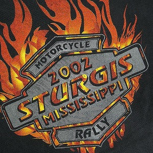 VINTAGE ヴィンテージ STURGIS スタージス Eagle Flame Tee Tシャツ 黒 Size 【L】 【中古品-良い】 20824901