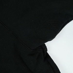 SUPREME シュプリーム 24AW Satin Applique Hooded Sweatshirt Black スウェットパーカー 黒 Size 【L】 【中古品-ほぼ新品】 20826574