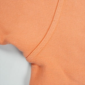 STUSSY ステューシー 25FW STOCK LINK ZIP HOODIE PIGMENT DYED SHERBERT ジップパーカー ピンク Size 【M】 【新古品・未使用品】 20826798