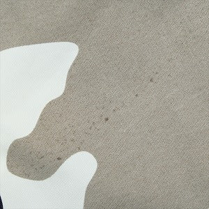 SUPREME シュプリーム 25SS Cargo Water Short Snow Camo ショーツ 灰 Size 【M】 【中古品-非常に良い】 20826968