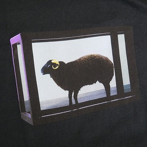 SUPREME シュプリーム ×Damien Hirst Tee 25SS Tee Black Tシャツ 黒 Size 【L】 【新古品・未使用品】 20827307