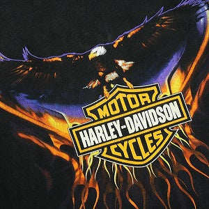 VINTAGE ヴィンテージ Harley-Davidson ハーレーダビッドソン Eagle Purple Flame LS Tee ロンT 黒 Size 【L】 【中古品-良い】 20827797