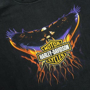 VINTAGE ヴィンテージ Harley-Davidson ハーレーダビッドソン Eagle Purple Flame LS Tee ロンT 黒 Size 【L】 【中古品-良い】 20827798