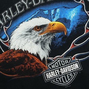 VINTAGE ヴィンテージ Harley-Davidson ハーレーダビッドソン Eagle Mountain LS Tee ロンT 黒 Size 【L】 【中古品-良い】 20827801