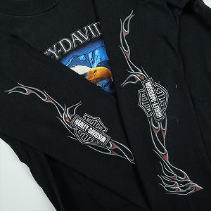 VINTAGE ヴィンテージ Harley-Davidson ハーレーダビッドソン Eagle Mountain LS Tee ロンT 黒 Size 【L】 【中古品-良い】 20827801