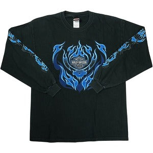 VINTAGE ヴィンテージ Harley-Davidson ハーレーダビッドソン Skull Blue Flame Logo LS Tee ロンT 黒 Size 【L】 【中古品-良い】 20827806
