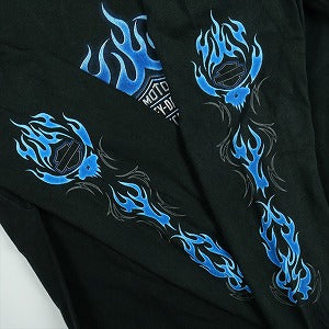 VINTAGE ヴィンテージ Harley-Davidson ハーレーダビッドソン Skull Blue Flame Logo LS Tee ロンT 黒 Size 【L】 【中古品-良い】 20827806