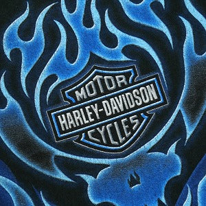 VINTAGE ヴィンテージ Harley-Davidson ハーレーダビッドソン Skull Blue Flame Logo LS Tee ロンT 黒 Size 【L】 【中古品-良い】 20827806