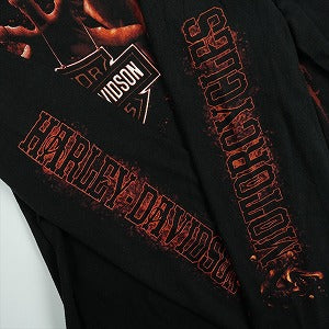 VINTAGE ヴィンテージ Harley-Davidson ハーレーダビッドソン Pierrot Blood Logo  LS Tee ロンT 黒 Size 【L】 【中古品-良い】 20827814