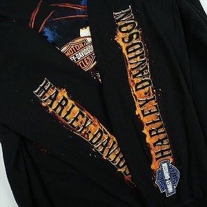 VINTAGE ヴィンテージ Harley-Davidson ハーレーダビッドソン Skull Wing Flame LS Tee ロンT 黒 Size 【XL相当】 【中古品-良い】 20827820