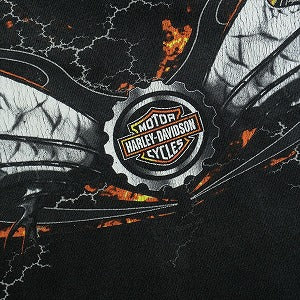 VINTAGE ヴィンテージ Harley-Davidson ハーレーダビッドソン Black Flame LS Tee ロンT 黒 Size 【L】 【中古品-良い】 20827823