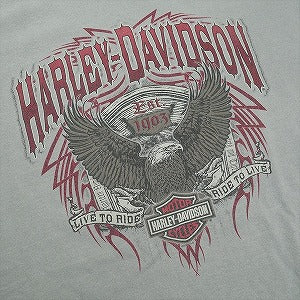 VINTAGE ヴィンテージ Harley-Davidson ハーレーダビッドソン Eagle Logo LS Tee ロンT 灰 Size 【XL】 【中古品-良い】 20827832