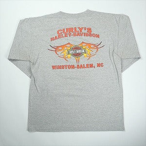 VINTAGE ヴィンテージ Harley-Davidson ハーレーダビッドソン Skull Orange Flame Logo LS Tee ロンT 灰 Size 【L】 【中古品-良い】 20827833