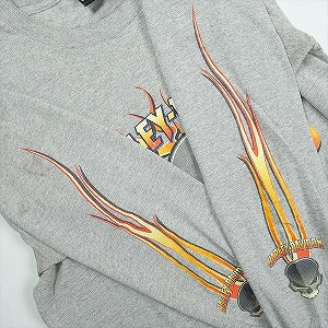 VINTAGE ヴィンテージ Harley-Davidson ハーレーダビッドソン Skull Orange Flame Logo LS Tee ロンT 灰 Size 【L】 【中古品-良い】 20827833
