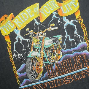 VINTAGE ヴィンテージ Harley-Davidson ハーレーダビッドソン Motorcycle Logo Tee Tシャツ 黒 Size 【L】 【中古品-良い】 20827845