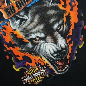 VINTAGE ヴィンテージ Harley-Davidson ハーレーダビッドソン Dog Logo Flame Tee Tシャツ 黒 Size 【L】 【中古品-良い】 20827846