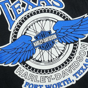 VINTAGE ヴィンテージ Harley-Davidson ハーレーダビッドソン Dog Logo Flame Tee Tシャツ 黒 Size 【L】 【中古品-良い】 20827846