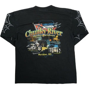 VINTAGE ヴィンテージ Harley Davidson ハーレーダビッドソン Spider Web LS Tee ロンT 黒 Size 【L】 【中古品-良い】 20828148