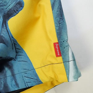 SUPREME シュプリーム ×THE NORTH FACE 19AW Statue of Liberty Mountain Jacket Yellow マウンテンジャケット 黄 Size 【M】 【新古品・未使用品】 20828876
