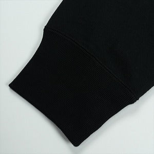 A BATHING APE ア ベイシング エイプ 25AW TOKYO COLLEGE PULLOVER HOODIE BLACK カレッジロゴパーカー 黒 Size 【L】 【新古品・未使用品】 20829345