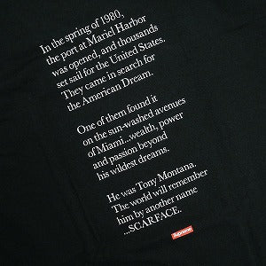 SUPREME シュプリーム ×Scarface 17AW Shower Tee Black Tシャツ 黒 Size 【L】 【新古品・未使用品】 20829353