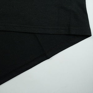 STUSSY ステューシー ×Josh Chese Litemid Tシャツ 黒 Size 【L】 【中古品-ほぼ新品】 20830178
