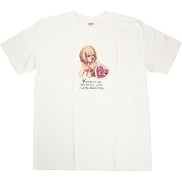 SUPREME シュプリーム 25FW Dust Tee White Tシャツ 白 Size 【XL