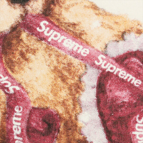 SUPREME シュプリーム 25FW Dust Tee White Tシャツ 白 Size 【XL