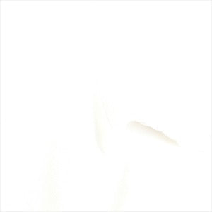 SUPREME シュプリーム 07SS Mike Tyson Tee White Tシャツ 白 Size 【M】 【新古品・未使用品】 20787520